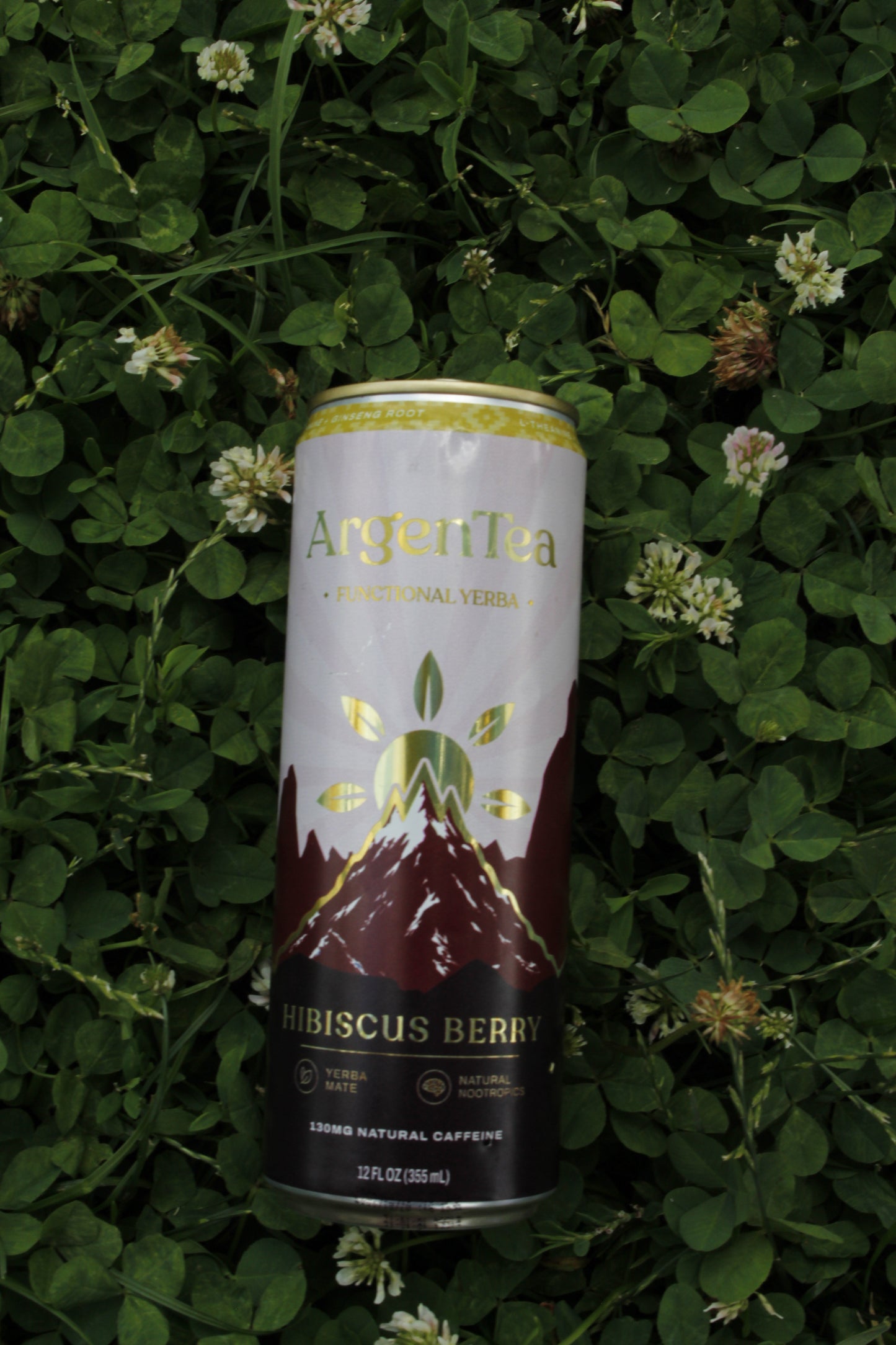 Hibiscus Berry 12-pack